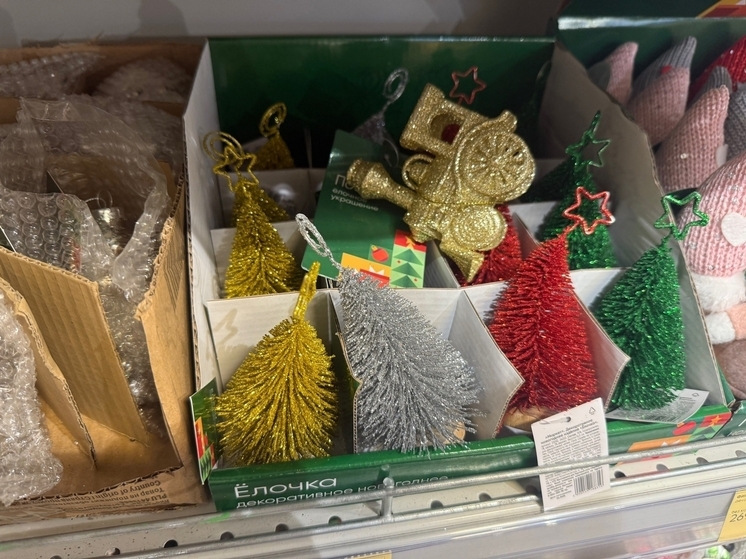 В Ростове-на-Дону началась подготовка к Новому году за два месяца