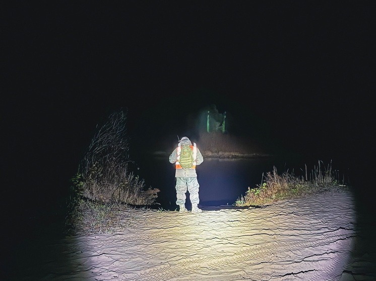 В Марий Эл добровольцы «ЛизаАлерт» нашли пенсионерку