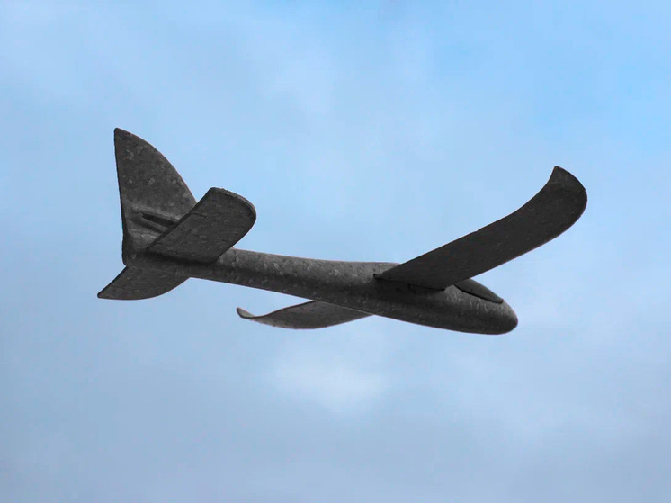 Над Липецкой областью сбили один беспилотник