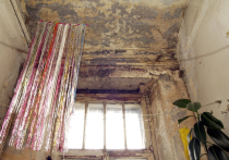 Смерть двухлетнего Авааба Исхака, скончавшегося от респираторного заболевания, вызванного черной плесенью в квартире социального жилья, потрясла Великобританию