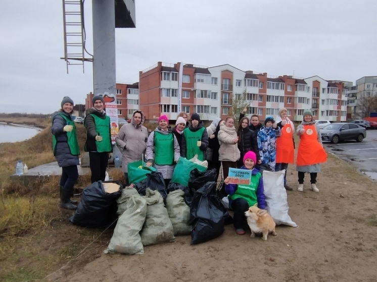 На берегу реки Кудьмы в Северодвинске прошёл субботник «Чистябрь»