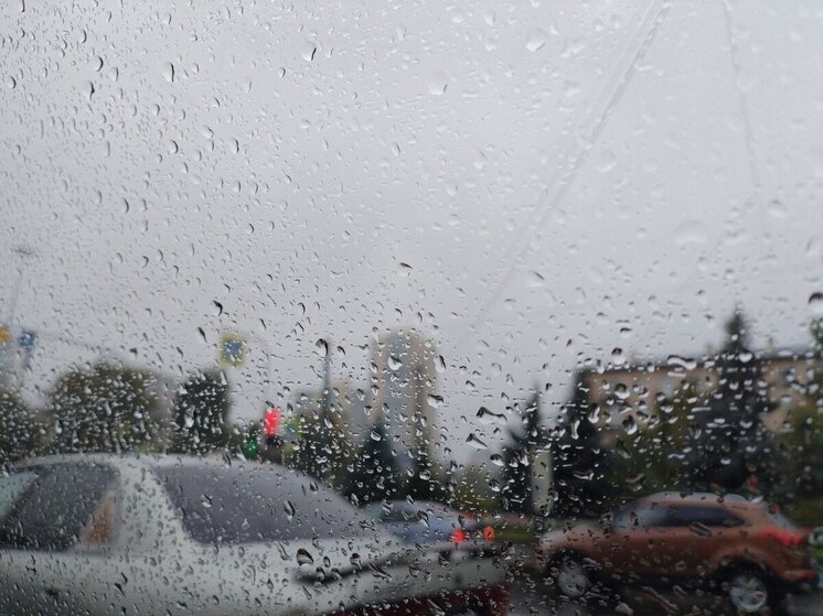 В Ленобласти 28 октября ожидаются дожди и до +7 градусов