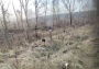 Жительница Новокузнецка Светлана Хлестунова больше четырех лет ищет могилу своего единственного сына