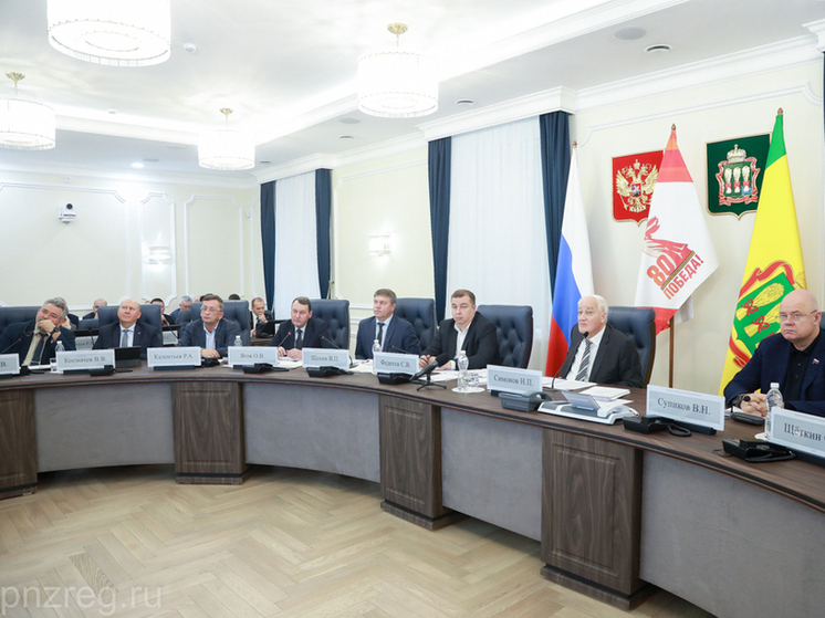 В Пензенской области на 18,5% сократилось количество ДТП по вине несовершеннолетних