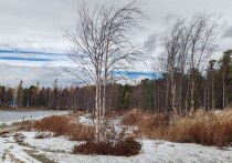 По народному календарю 28 октября 2025 года отмечается день Ефимия Осеннего. Православная церковь в эту дату вспоминает преподобного Евфимия Солунского, жившего в IX веке в Палестине.