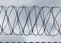 В штате Алабама состоялась вторая в истории США казнь с применением азота, которая стала самой продолжительной из всех проведенных этим методом