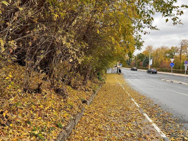 В Самаре штрафовать за парковку на газонах будут по фото и видео с камер
