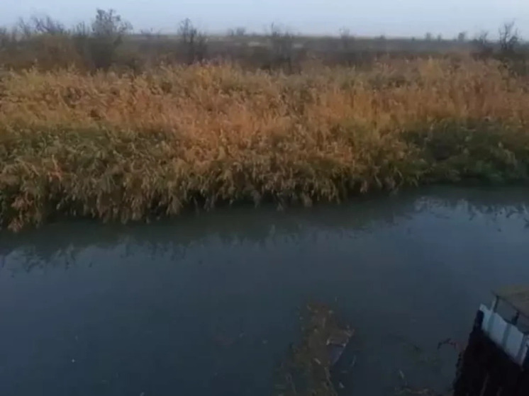 В Ростовской области подтвердился факт слива нечистот в ручей Быстрый.