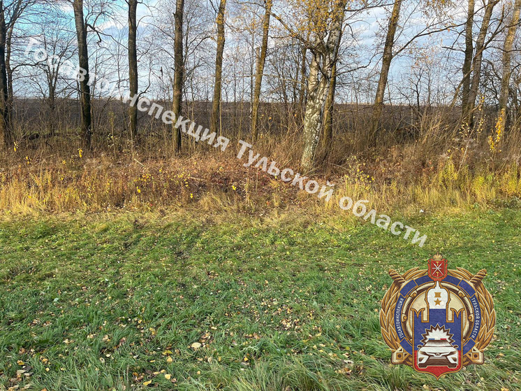 Бесправный туляк на ВАЗ влетел в древо в кювете и был госпитализирован