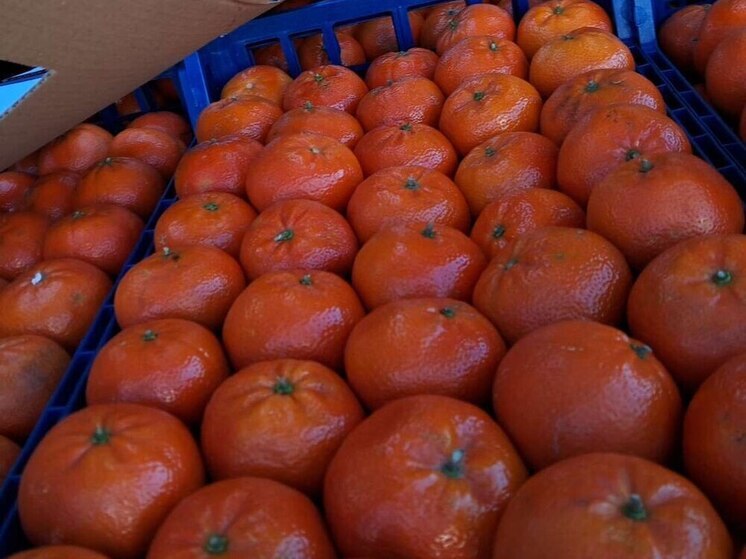 В морпорту «Туапсе» предотвратили ввоз зараженных мандаринов