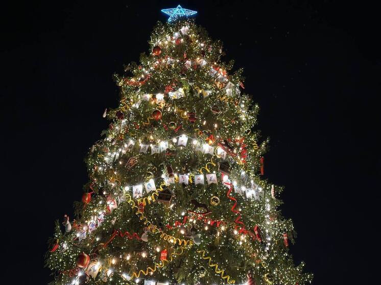На петербургскую Рождественскую ярмарку с пластиковым медведем выделят еще 100 млн