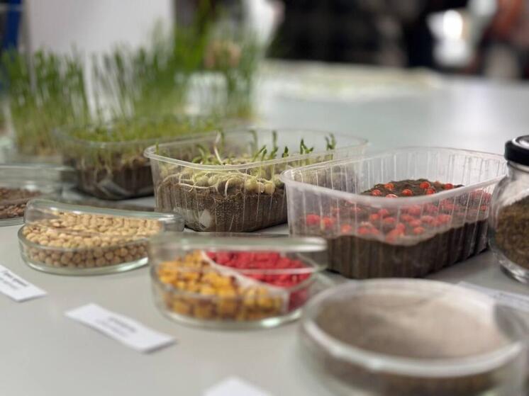 Запорожские школьники посетили МелГУ где погрузились в мир агротехнологий