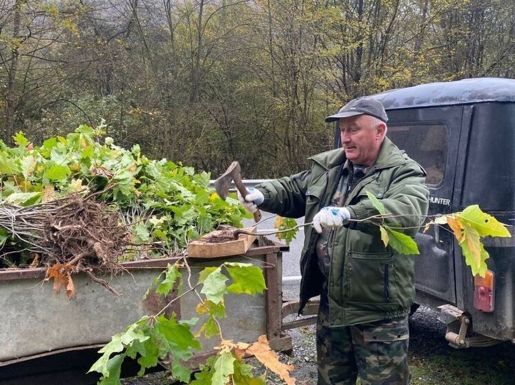 Из Северной Осетии в Запорожскую область отправили тысячу саженцев для мемориальной аллеи