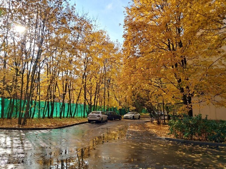 На осенних каникулах школьники будут учиться готовить: родители придумали досуг эконом-класса