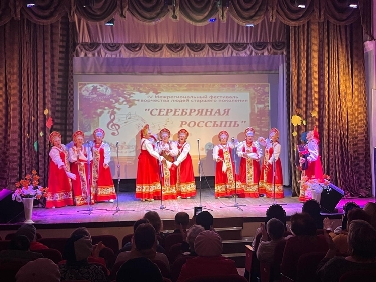 В Сольцах провели фестиваль творчества людей старшего поколения