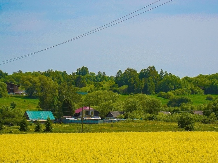В Тульской области обновили кадастровые данные почти 10 тысяч объектов