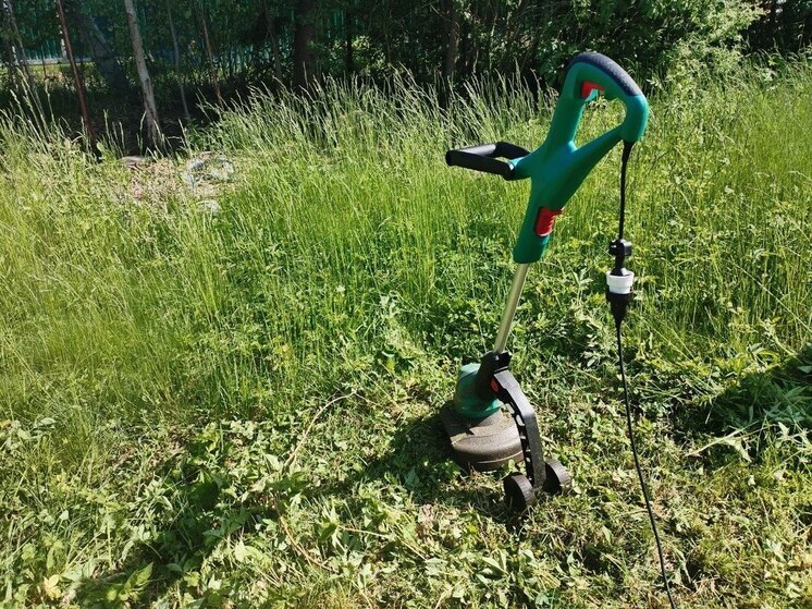 В Гвардейском районе вынесли предупреждения за заброшенные земельные участки