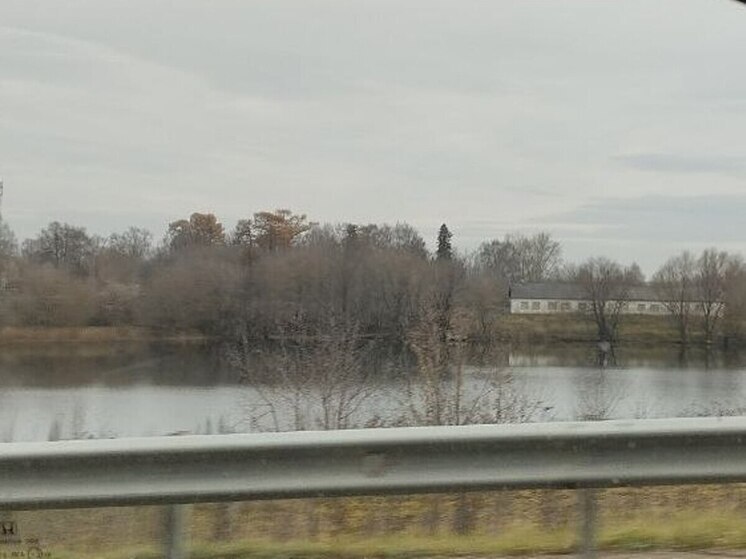 Десятки лебедей собрались возле свердловского села