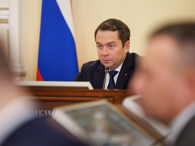 Правительство РФ поддержало инициативу Андрея Чибиса по развитию арктических городов