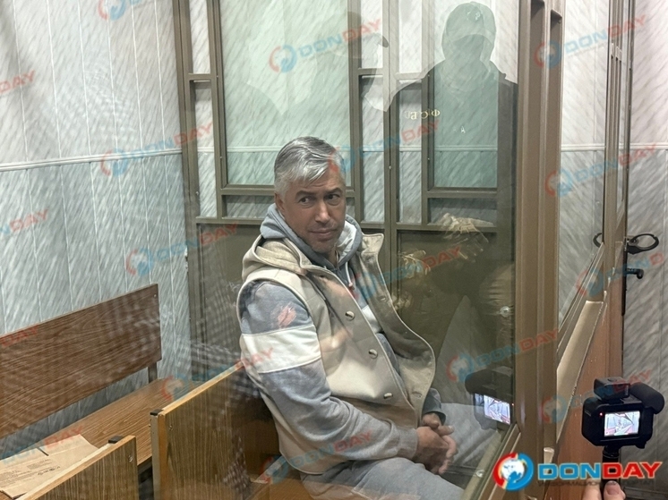 Задержанный экс-глава администрации Ростова-на-Дону сменил адвоката