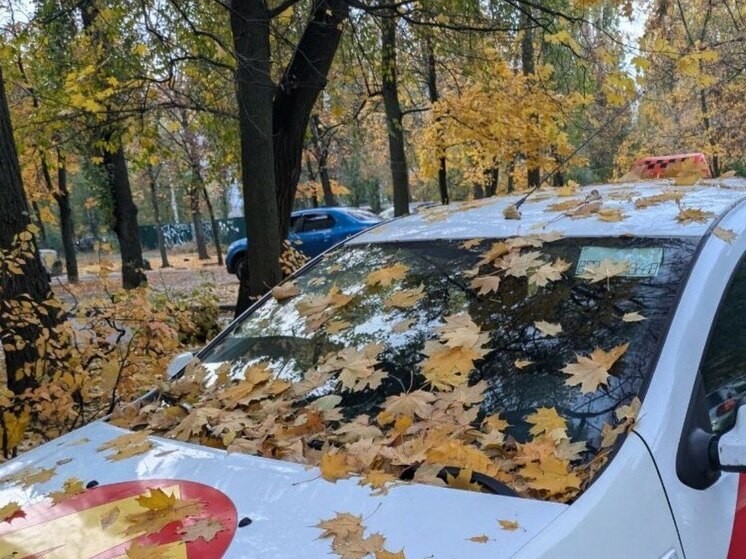 Стало известно, как будут работать платные парковки в Воронеже на ноябрьские праздники