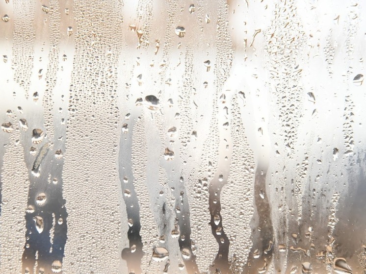 В Волгоградской области 28 октября пройдут дожди с порывистым ветром