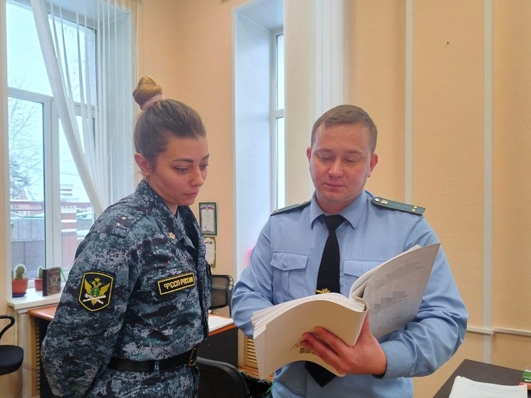 Костромской алиментщик проигрался в «кошки-мышки» с приставами
