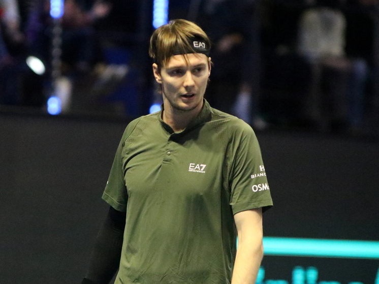 Бублик не пожал руку Попырину после матча на турнире в Париже