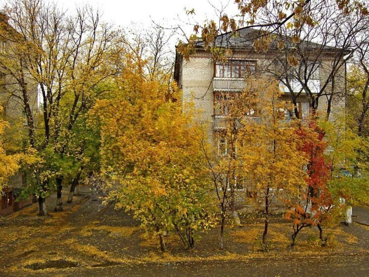 Власти Барнаула объявили аукцион на КРТ Потока
