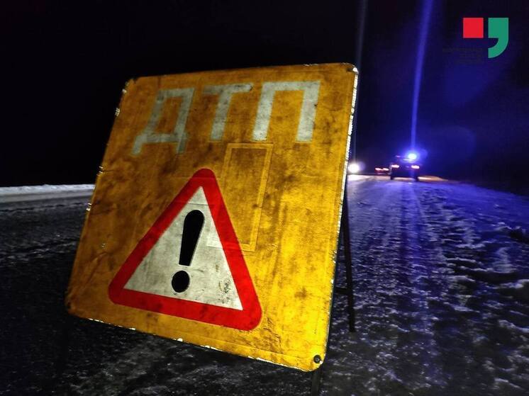 Между Лабытнанги и Харпом автомобилисты сбили оленя