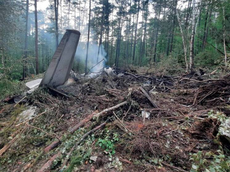 Минлесхоз Приамурья требует с "Ангары" 535 тыс рублей за ущерб лесному фонду