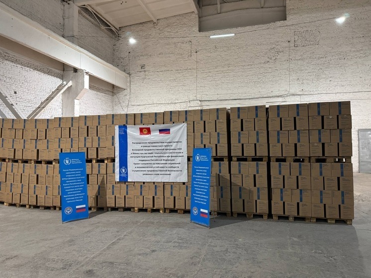 Россия направила новую партию продовольственной помощи Кыргызстану
