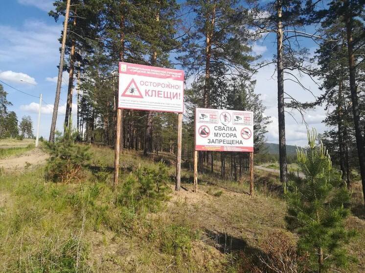 В Улан-Удэ готовят городские леса к следующему пожароопасному сезону