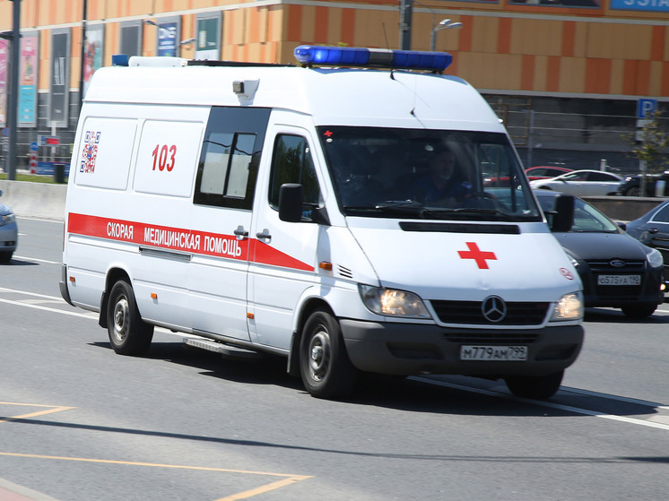 Девушку госпитализировали после купания в пруду на юге Москвы