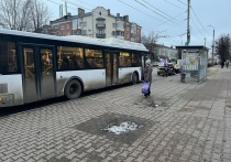 Парк орловских автобусов пополнят 31 новой единицей до конца 2025 года