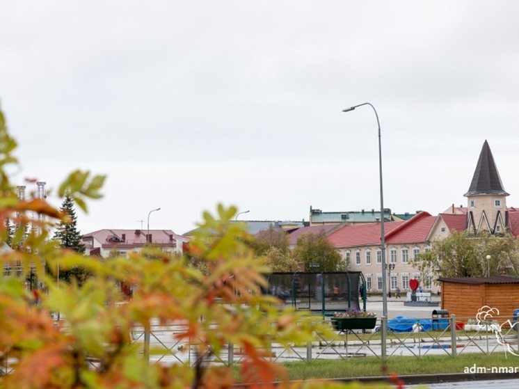 О новом онлайн-курсе на платформе Академия Росмолодежи поведали в НАО