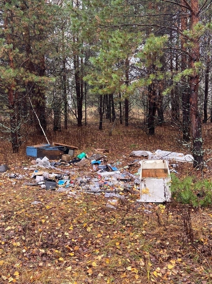 В Меленках в центре города должны ликвидировать свалку