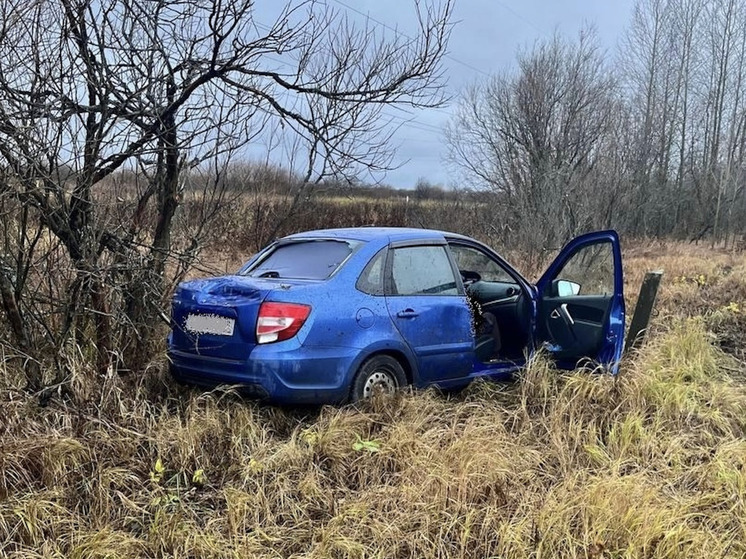 В Приморском округе водитель «Лады Гранты» пострадала в аварии