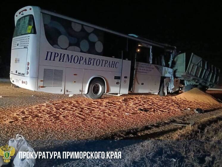 Уголовное дело возбуждено после ДТП с пассажирским автобусом в Приморье