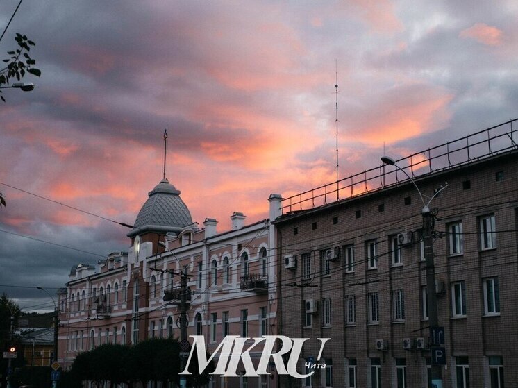 Депутатов призвали помочь мэрии Читы дать информацию для профилактики лесных пожаров