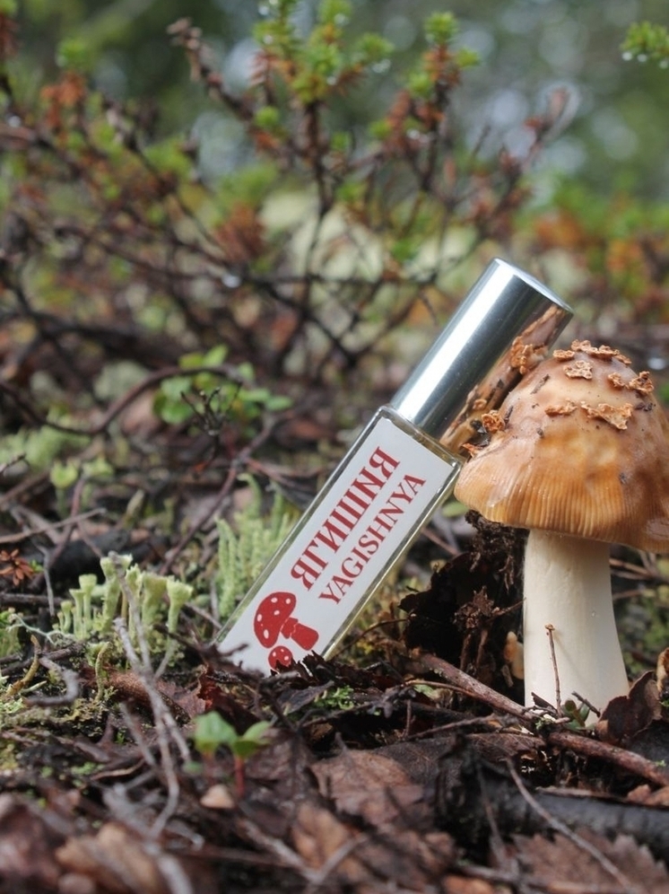 Карельское амбре растеклось по Санкт- Петербургу грибами, солями и ванилью