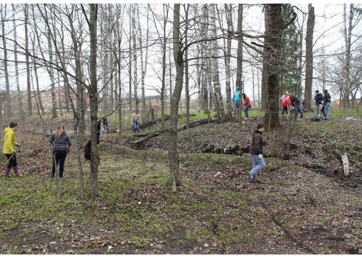 Вологодские школьники участвуют в проекте «Каникулы добрых дел»