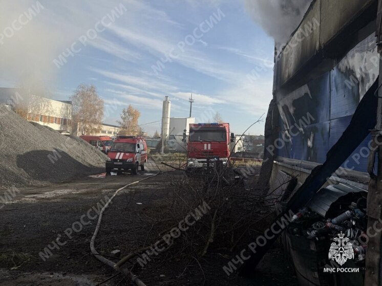 В Брянске произошел пожар в автосервисе: сгорели два автомобиля