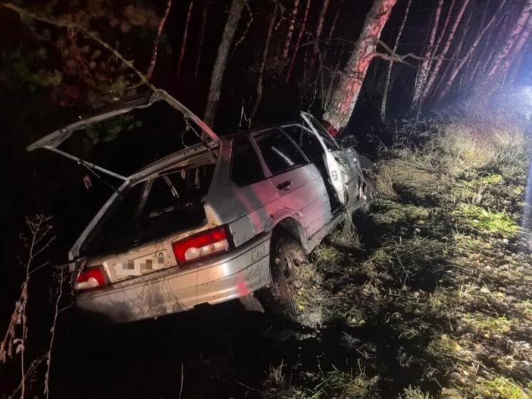 Под Рязанью легковой автомобиль съехал в кювет, пострадали двое