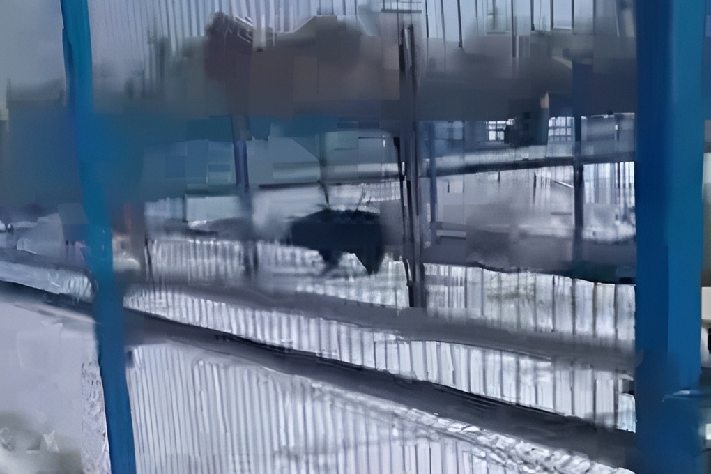 На космодроме Восточный заметили заблудившегося медведя