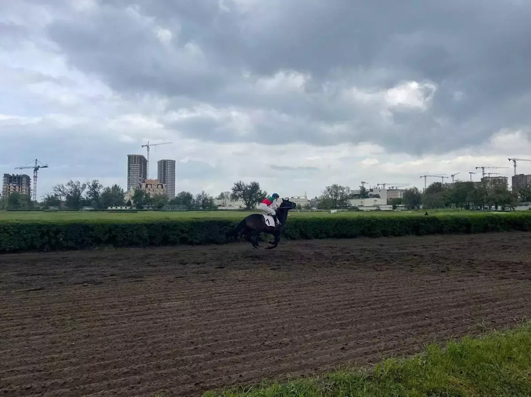 Ростовчане создали петицию за сохранения легендарного ипподрома