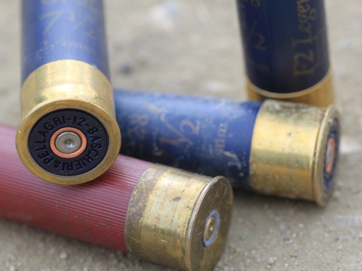 В НАО указали ведомство для сдачи птичьих потрохов