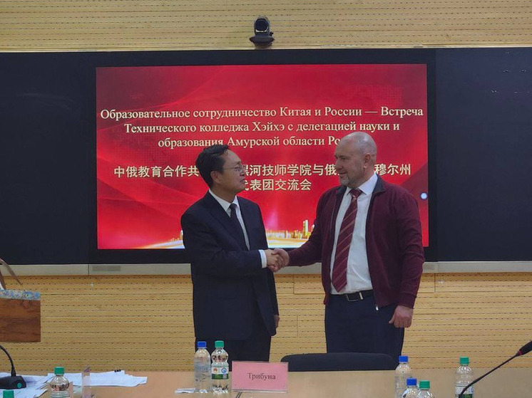 Амурские колледжи обсудили перспективы сотрудничества с коллегами из Хэйхэ