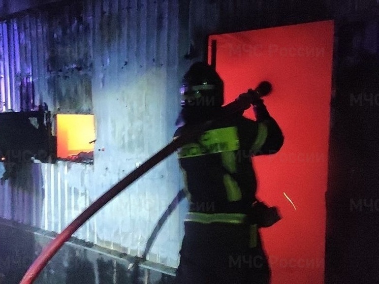 Ночью в херсонском поселке Новотроицкое сгорел торговый контейнер