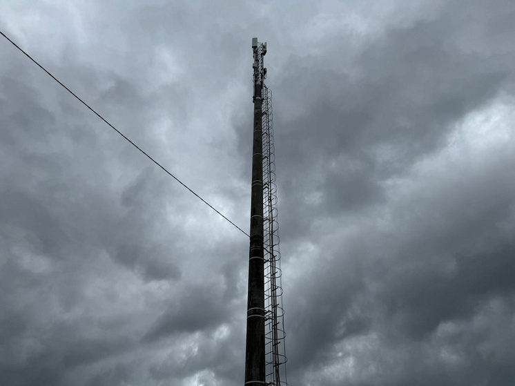 Куряне проголосовали за подключение 4G-интернета в 5 малонаселенных пунктах